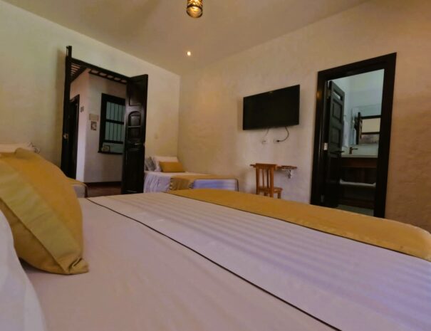 WhatsApp Image 2023-09-13 at 2.46.27 PM (1)