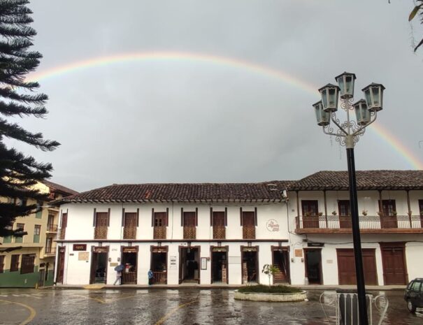 WhatsApp Image 2024-05-01 at 8.42.28 AM